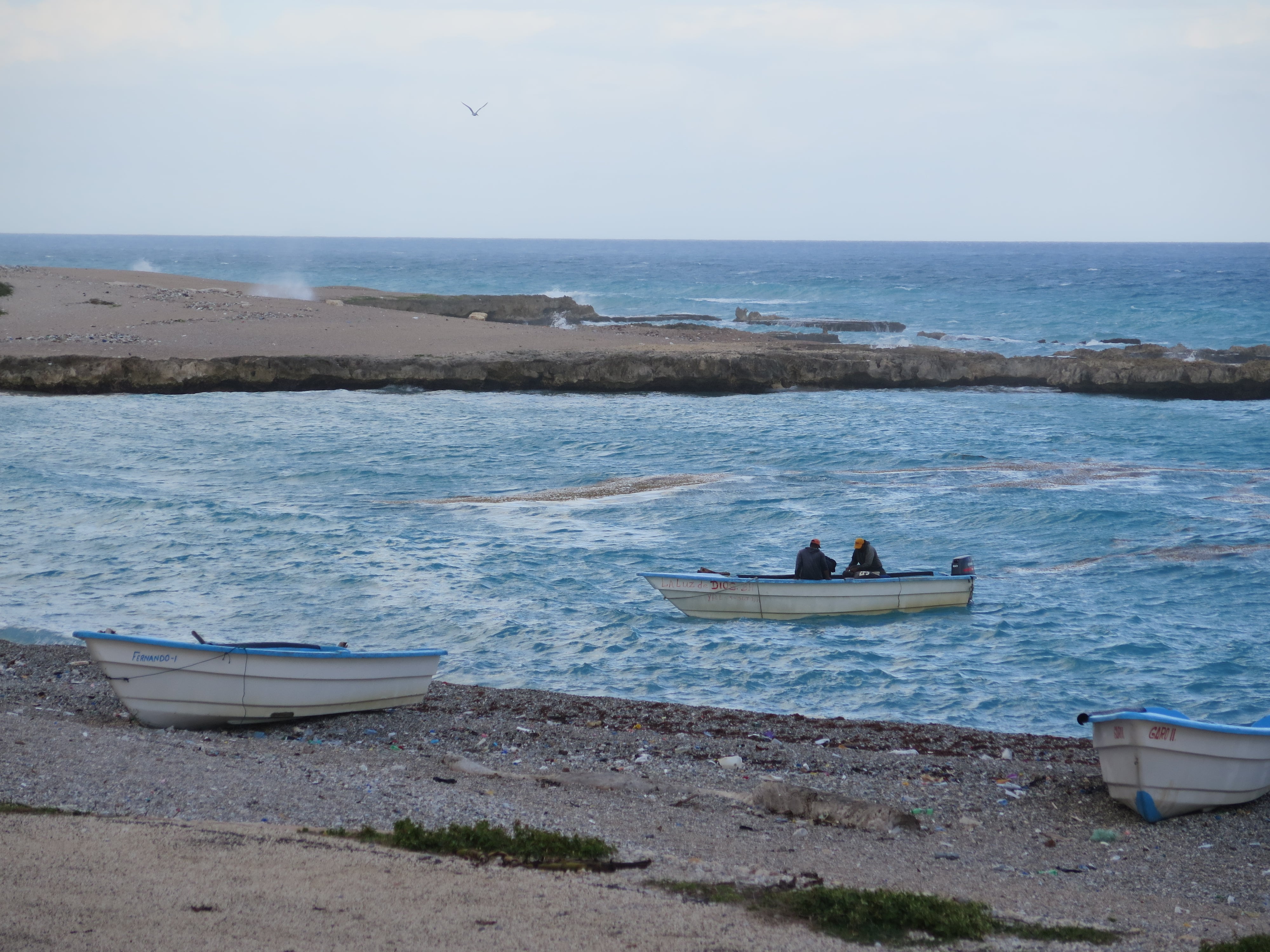 IMG_2520-min